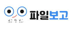 파일보고